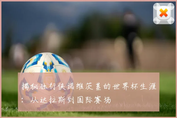 揭秘独行侠诺维茨基的世界杯生涯：从达拉斯到国际赛场